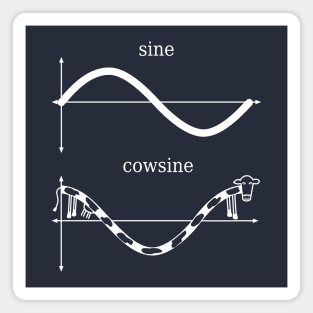 Sine and Cowsine Magnet